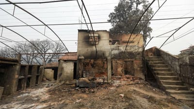 Fogo de Pedrógão destruiu 20 casas e afetou 100 postos de trabalho - TVI