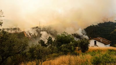 Fogo em Góis obriga a evacuar 27 aldeias - TVI