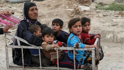 Mais de 1.600 crianças desaparecidas de centros de refugiados na Holanda desde 2015 - TVI