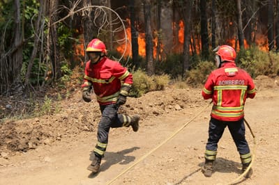Bombeiros denunciam em tribunal falta de meios para atacar incêndio em Pedrógão - TVI