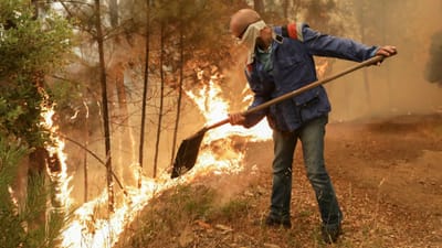 Incêndio em Góis: três das cinco frentes foram extintas - TVI