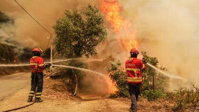 Pedrógão Grande: bombeiro internado em Lisboa sai do coma induzido - TVI