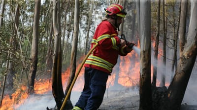 Há 39 concelhos em risco máximo de incêndio - TVI