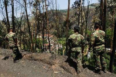 Mais de 60 fuzileiros em ações de dissuasão e prevenção de incêndios - TVI