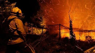 "Uma imagem solidária": fotojornalistas querem ajudar os bombeiros - TVI