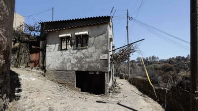 Incêndio de Pedrógão danificou 63 casas e 29 indústrias - TVI