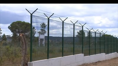 Portugal acha que roubo de Tancos nada tem a ver com jiadismo - TVI