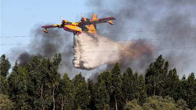 Dominado incêndio em Mirandela que envolveu mais de cem bombeiros - TVI