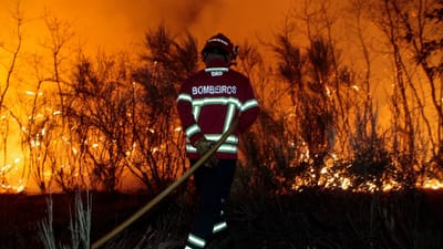 Incêndio da Guarda já passou para o concelho de Almeida - TVI