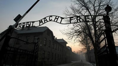 Neta de sobrevivente andou a roubar objetos do museu de Auschwitz - TVI