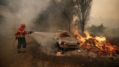 Mais de 1.600 operacionais combatem incêndios de Castelo Branco e Santarém - TVI