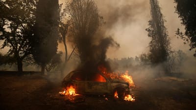 Agosto com menos incêndios que os registados no final de julho - TVI