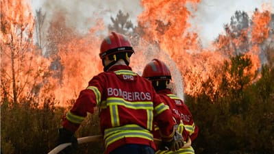 Detido suspeito de atear fogo em Vila Real - TVI