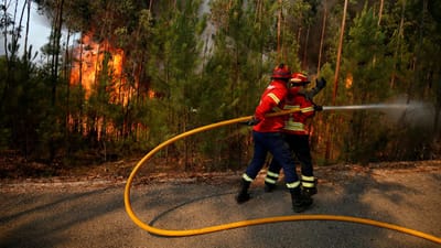Apelo aos bombeiros que estão de férias ou folgas para combaterem o fogo - TVI