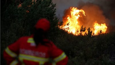Espanhóis ajudam a combater o fogo em Nisa - TVI