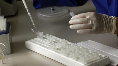 Cientistas aprovam experiências com embriões humanos - TVI