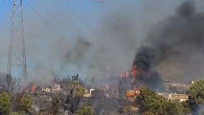 Barracões destruídos e animais apanhados pelo fogo no Catujal - TVI