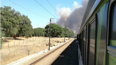 Incêndio em Grândola corta circulação ferroviária - TVI