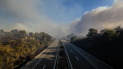 Incêndio na Mealhada: A1 e A14 já reabriram ao trânsito - TVI