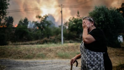 Fogos de Abrantes, Mealhada e Maia provocam 25 feridos - TVI