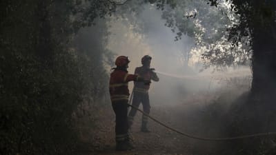 Cinco bombeiros feridos no combate aos incêndios - TVI