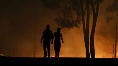 Detido suspeito de atear fogo florestal em Sabrosa - TVI