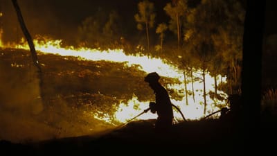 Incêndios: dois grandes fogos e mais de 1.000 operacionais no terreno - TVI