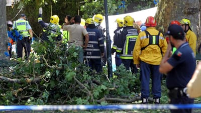 Treze mortos e 49 feridos em queda de árvore na Madeira - TVI
