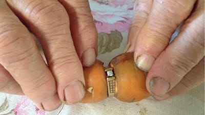 Anel de noivado perdido há 13 anos encontrado em cenoura - TVI