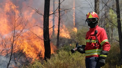 Banalização dos incêndios nas notícias pode promover fogos postos - TVI