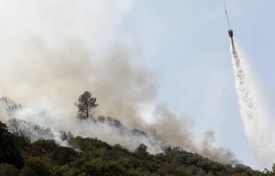 Detido reformado suspeito de incêndio florestal na Sertã - TVI