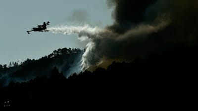 Incêndio da Sertã está a ameaçar habitações - TVI