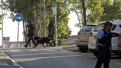 Detido novo suspeito dos ataques de Barcelona - TVI