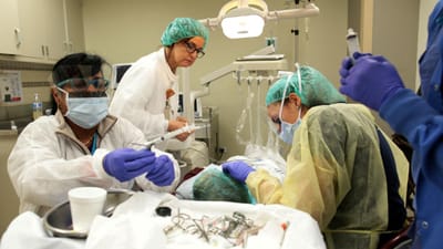 Duas compressas cirúrgicas deixadas dentro de uma paciente durante seis anos - TVI