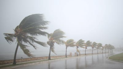 Irma gera fortes tornados no sul da Flórida, 70 mil pessoas já refugiadas em abrigos - TVI