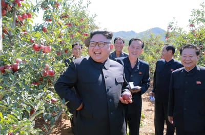 Coreia do Sul acredita que sanções vão mudar atitude do vizinho do norte - TVI