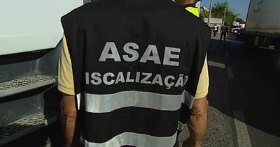 ASAE apreende 78 carcaças de animais e faz seis detenções - TVI