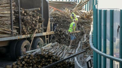 Camião tomba carga de madeira sobre carro em viaduto de Coimbra - TVI