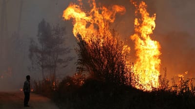 Incêndio em Amarante obrigou ao corte da A4 - TVI