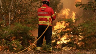 Quase todo o país está com risco muito elevado de incêndio - TVI