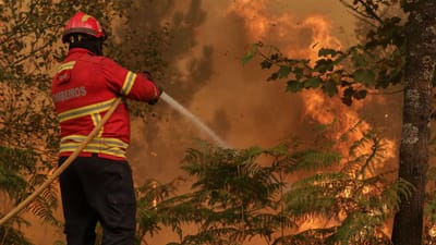 Incêndios: bombeiros voluntários que integram dispositivo com aumento de cinco euros - TVI
