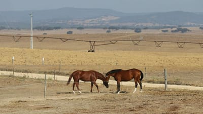 Portugal em seca extrema e com precipitação “muito inferior ao normal” - TVI