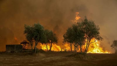 "O pior dia do ano em matéria de incêndios" - TVI