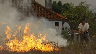 Leia aqui na íntegra o relatório sobre os fogos de outubro - TVI