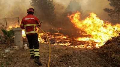 Bombeiro morre em incêndio na Serra da Lousã - TVI
