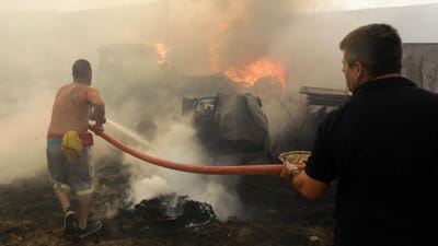 Incêndios: "situação tremenda" em Cantanhede - TVI