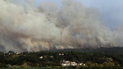 Detido presumível incendiário de fogo em Vale de Cambra - TVI