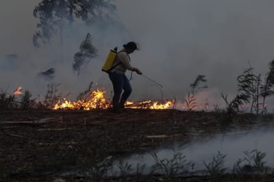 Vila Nova de Poiares com 70% do território ardido - TVI