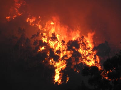 Casa ardeu e hotel foi evacuado em Braga - TVI