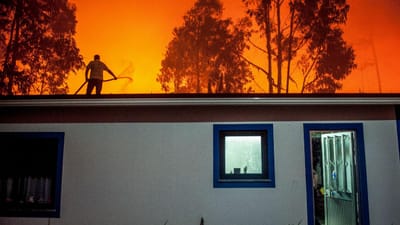 Incêndios: 20% das casas destruídas no Interior em obra ou já reconstruídas - TVI
